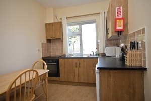 Melvin suite kitchen
